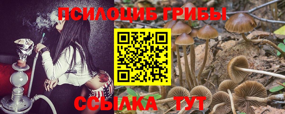 Псилоцибиновые грибы мухоморы Калач-на-Дону
